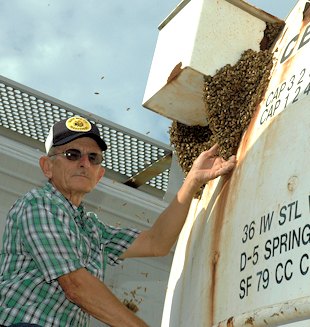 Glenn Gueho Busy Bee Man